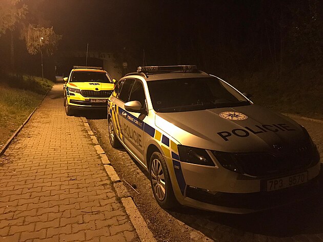 Policisté na severním Plzesku zasahovali u pokusu o vradu a sebevradu. (29....