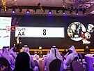 Registraní znaka AA 8 vynesla v dubajské aukci v pepotu skoro 210 milion...