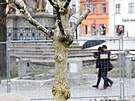 P�ed radnic� na hlavn�m jihlavsk�m n�m�st� u� stoj� vzrostl� jerl�ny. Prozat�m...