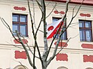 P�ed radnic� na hlavn�m jihlavsk�m n�m�st� u� stoj� vzrostl� jerl�ny. Prozat�m...