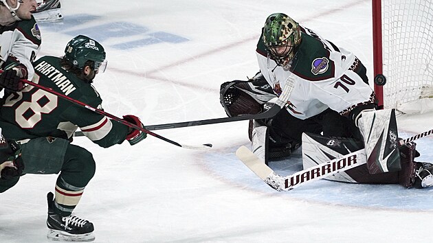 Ryan Hartman z Minnesoty pekonv Karla Vejmelku v brance Arizony.