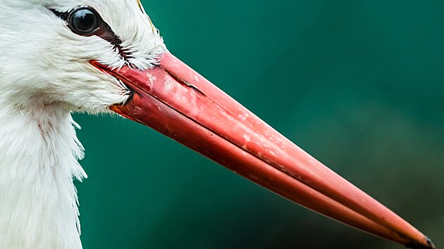 Z�chrann� stanice Jaro v Jarom��i