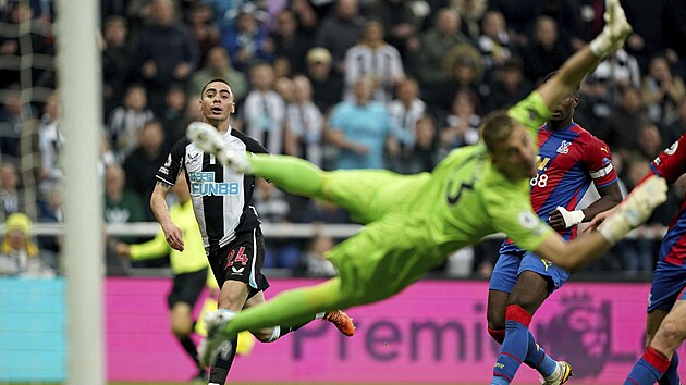 Miguel Almiron (vlevo) z Newcastlu stl gl v zpase s Crystal Palace.