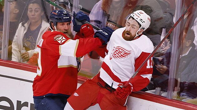 Joe Thornton (vlevo) z Florida Panthers srazil v zpase s Detroit Red Wings obrnce Filipa Hronka.