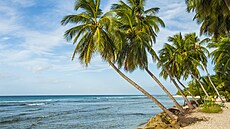 Barbados je nejvýchodnjí ostrov na východní hranici Karibiku.