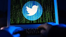 Sociální síť Twitter a její anonymní uživatelé