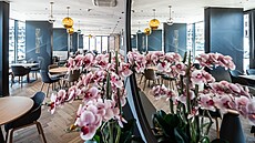 ilustra�ní snímek