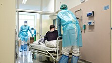 Infek�ní pavilon havlí�kobrodské nemocnice za�il nejv�t�í nápor b�hem...