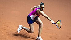Karolína Plíková na turnaji ve Stuttgartu.