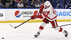 Jakub Vrána (15) z Detroit Red Wings pálí na bránu  Tampa Bay Lightning.