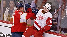 Joe Thornton (vlevo) z Florida Panthers srazil v zápase s Detroit Red Wings...