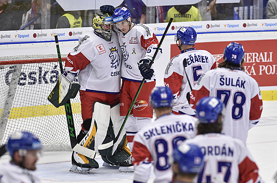 Radost eských hrá po triumfu nad védskem na eských hokejových hrách.