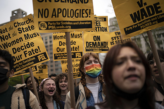 Demonstranti se shromádili na podporu práv na potrat v New Yorku. (3. kvtna...