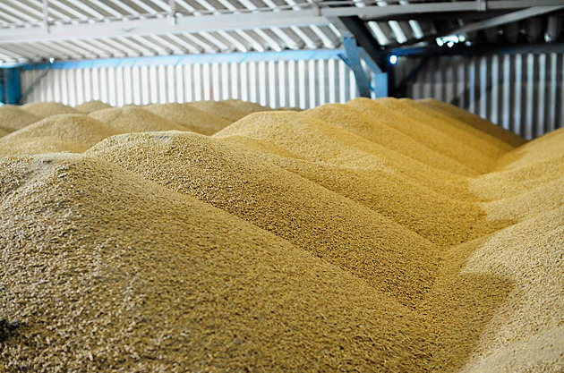 Ruská invaze blokuje na Ukrajině téměř 25 milionů tun obilí. Světu hrozí hlad