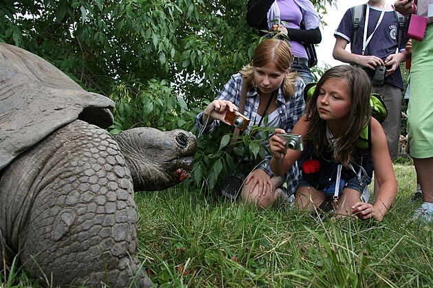 Kouzlo pímstských tábor? Uít si zábavu kousek od domova. Ilustraní