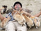 Typický obrázek: turista, dav králík, pytlík s dobrotami.