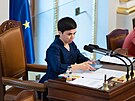 Místopedsedkyn Snmovny Olga Richterová na mimoádné schzi Snmovny 3....