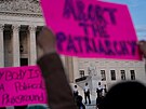 Demonstranti ve Washingtonu protestují proti navrhovanému zruení práva na...