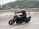 Harley-Davidson Nightster 975T