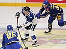 Finský hokejista Sakari Manninen se chystá ke gólové stele v zápase se...