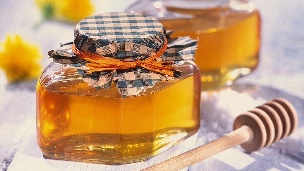 Pampelikový med