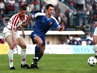 Peter Dubovský (vpravo) a Tomá� �epka v reprezenta�ním duelu v kv�tnu 1995