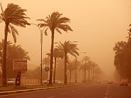Msta v Iráku, napíklad metropoli Bagdád, zasáhla písená boue. (1. kvtna...