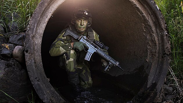 Ve švédských ozbrojených složkách slouží asi 24 000 mužů a žen, v případě konfliktu může armáda povolat až 32 000 rezervistů. 