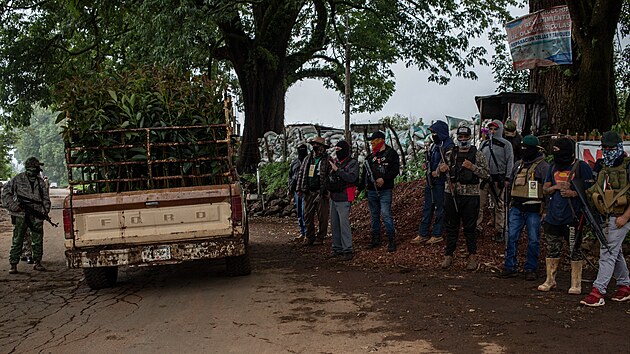 Ozbrojen milice Pueblos Unidos hldkuje pi doprav avokdovch strom ve sttu Michoacn.