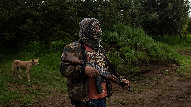 [Obrázek: FRO934c36_GettyImages_1326889379.jpg]