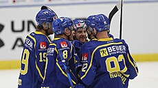 Radost �védských hokejist� po utkání s Finskem.
