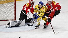 Joel Kellman ze �védska se sna�í dostat k puku v zápase proti �výcarsku na...