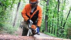 Pr�zkum ukázal, �e nejv�t�ími d�í�i jsou popelá�i, skladníci a d�evorubci.