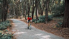 Ilustra�ní snímek