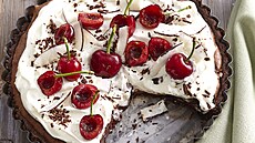 �okola ́dovy ́ kola ́c�s kokosem a t�e�n�mi