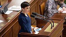 Místopředsedkyně Sněmovny Olga Richterová na mimořádné schůzi Sněmovny 3....