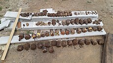 Nalezená munice na pozemku na Příbramsku. Jednalo se o 58 ručních granátů ruské...