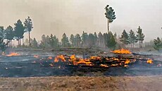 Boj s lesními poáry v Kurganské oblasti (4. kvtna 2022)