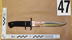 Jeden z vojenských bojových nožů, které použil muž v Kostelci na Hané při...
