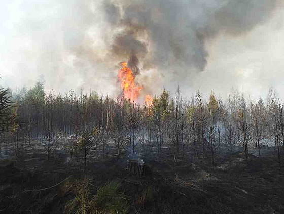 Lesní požár u Újezdu u Rosic na Brněnsku (14. května 2022)