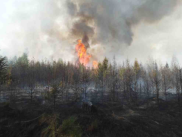 Na Brněnsku hořel les. Hasiči vyhlásili 3. stupeň požárního poplachu