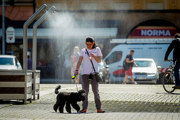 Teplé počasí doprovodí o víkendu přeháňky a bouřky, bude dusno