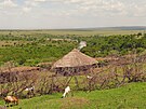 Masajská usedlost u velkého balvanu. Je obehnaná hustým plotem z trnitých...