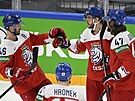 etí hokejisté David Krejí (46), David Pastrák a Michal Jordán (47) se...