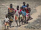 V suchem postieném Somálsku, Etiopii a Keni umírá jeden lovk hlady kadých...