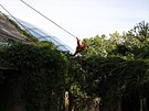 Vichni tyi orangutani v praské zoologické zahrad se dostali ven z pavilonu...