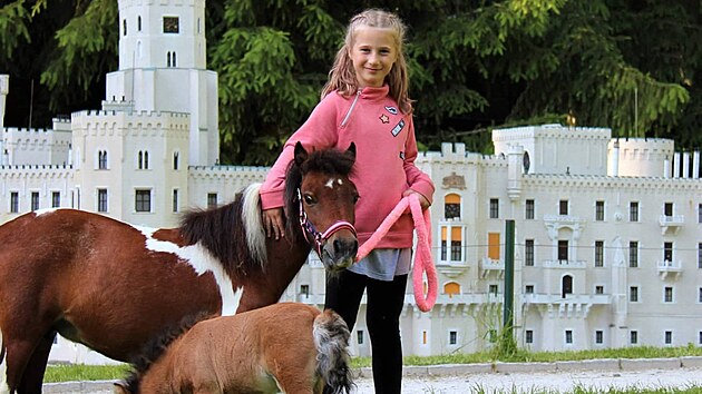 Emma Sklenářová na procházce s miniaturními koníky u modelu zámku Hluboká.