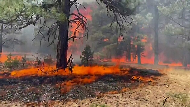 Nejhorší požár v dějinách státu už měsíc sužuje Nové Mexiko. Hoří tisíce hektarů