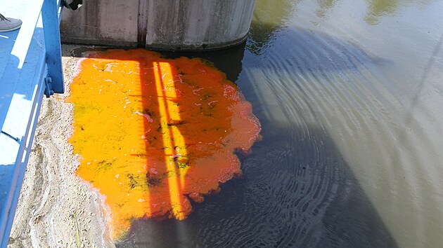 Neškodná fluorescenční látka obarvila vodu v řece Bílina. Odborníci pomocí ní sledují, jakým způsobem by se šířila případná havárie na řece.