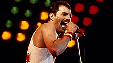 Freddie Mercury s kapelou Queen při koncertu v Milton Keynes Bowl v Anglii | na serveru Lidovky.cz | aktuální zprávy